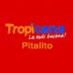 Tropicana Pitalito